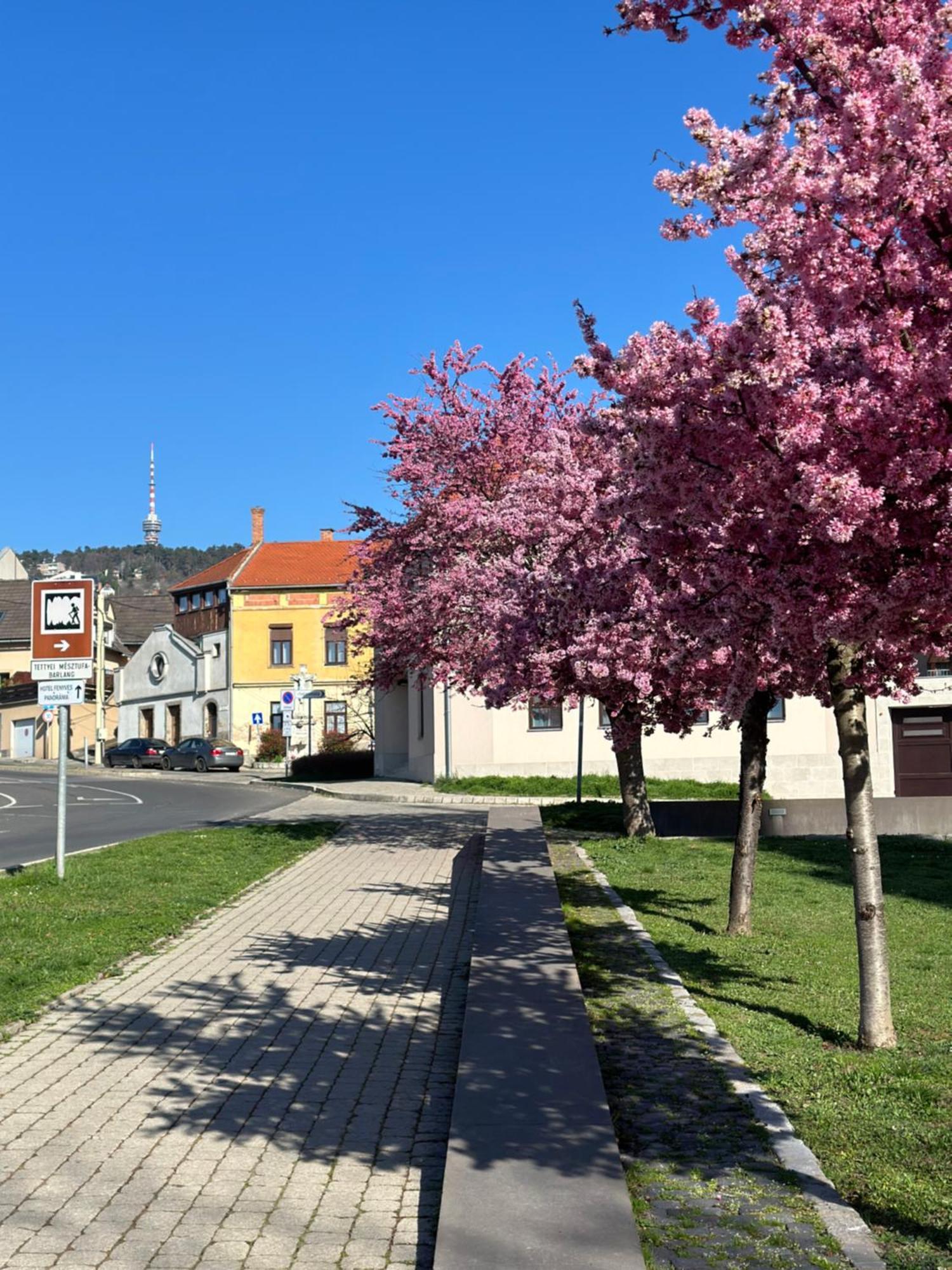 M18 - Csak Egy Lepes A Toertenelmi Belvaros - Free Parking Pecs Exterior photo